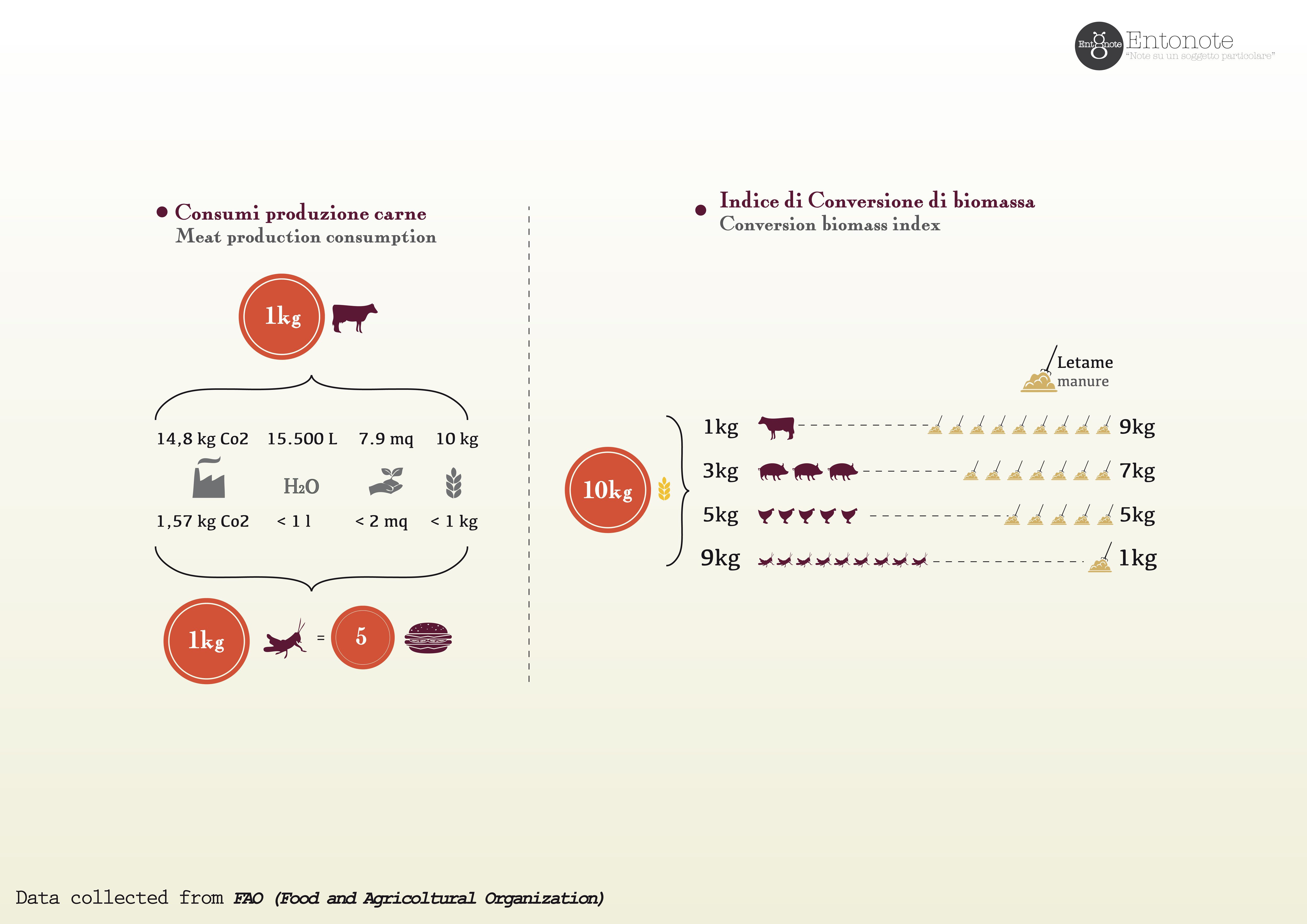 infografica impatto ecologioc e conv biomassa