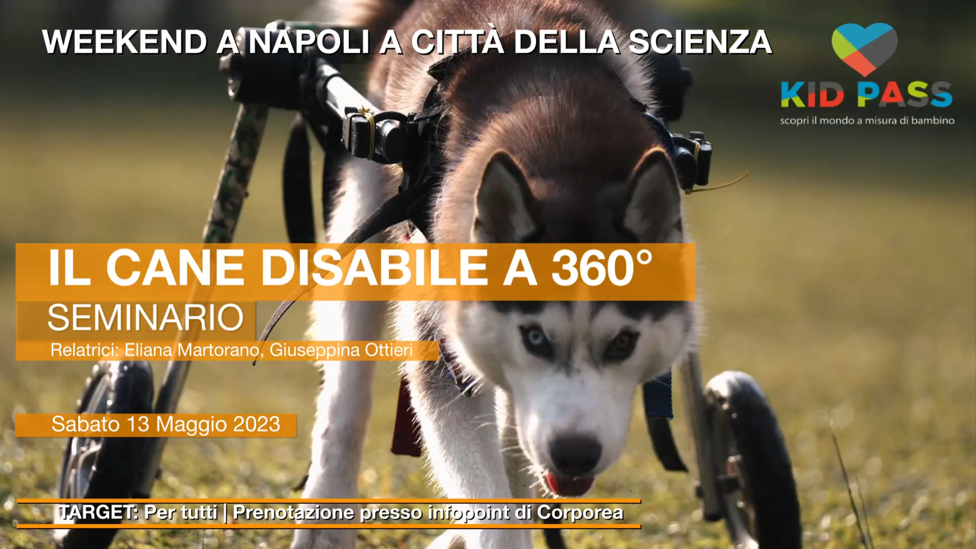 007 - BANNER_ADV_6-7 Maggio_2023