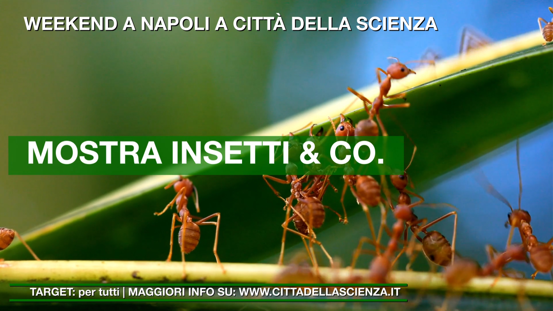 013 - BANNER_ADV_6-7 Maggio_2023