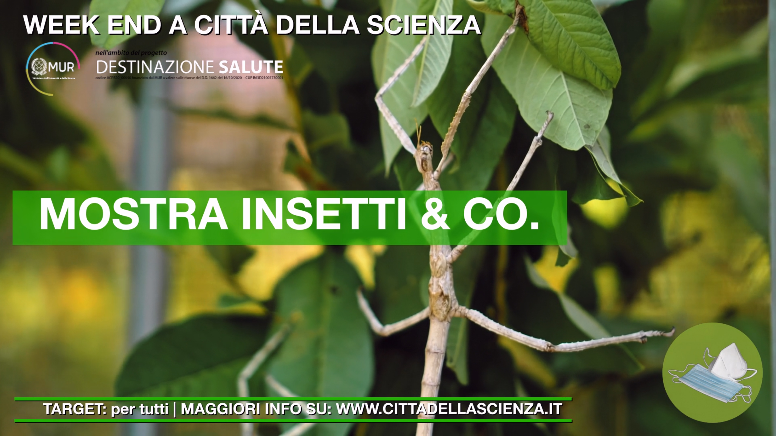 013 - BANNER_ADV_7-8_MAGGIO_2022