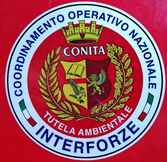 Logo Conita