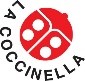 coccinella