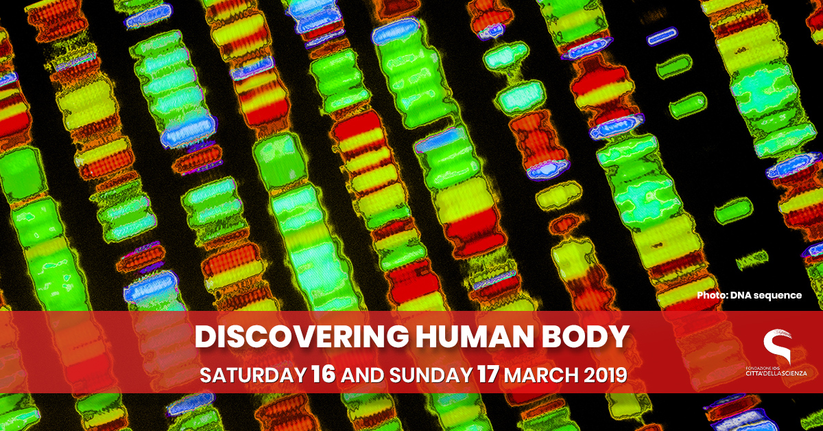 esplorando il corpo umano_16_17 marzo 2019 a Città della Scienza_ENG
