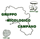 micologicocampano