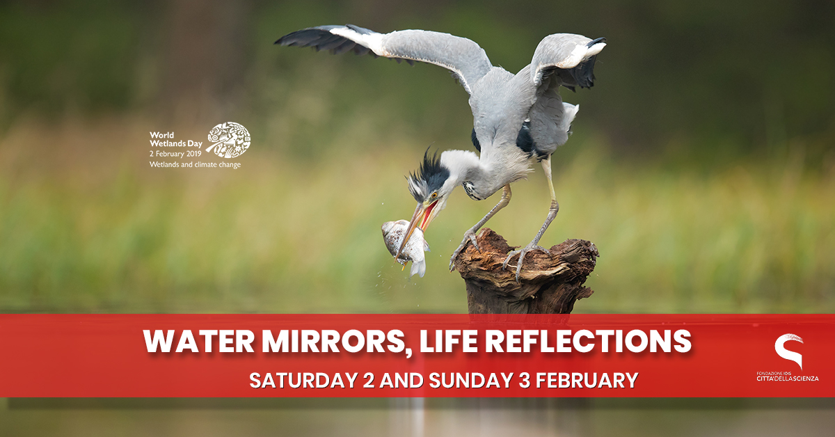 specchi d acqua_specchi di vita_ 2 e 3 febbraio 2019 a Città della Scienza_ENG